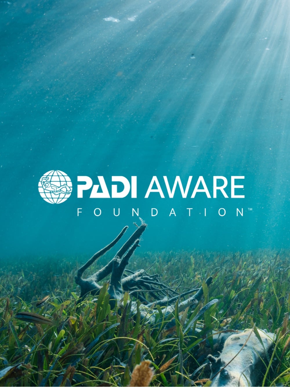 Hrdinovia v oblasti charity a komunity Hrdinovia v oblasti charity a komunity