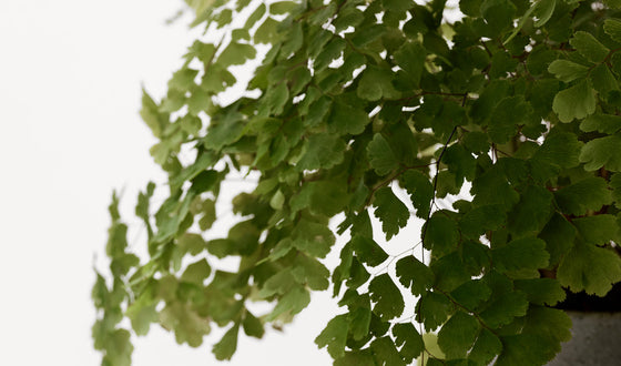 An Anti-Ageing Brand That Thinks Like a Natural Brand