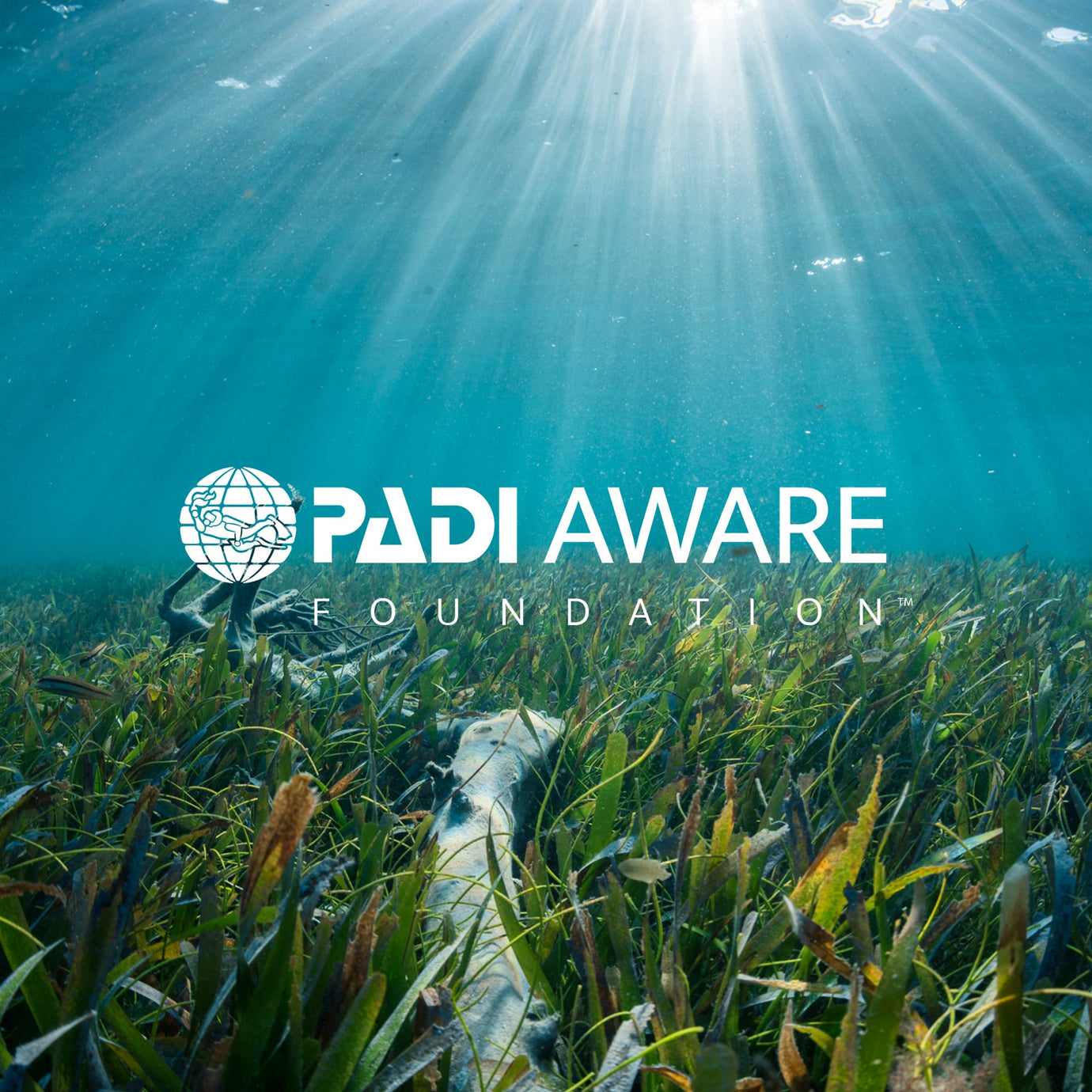 Hrdinovia v oblasti charity a komunity Hrdinovia v oblasti charity a komunity